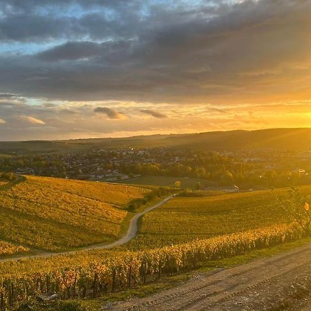 Maison De Campagne Entre Vigne Et Bois シャブリ エクステリア 写真