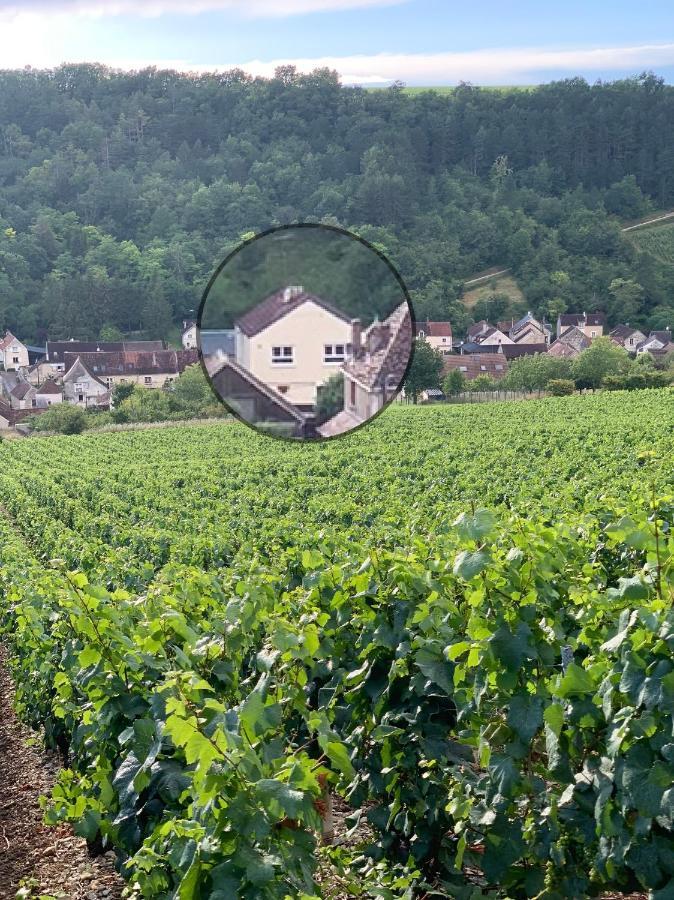 Maison De Campagne Entre Vigne Et Bois シャブリ エクステリア 写真