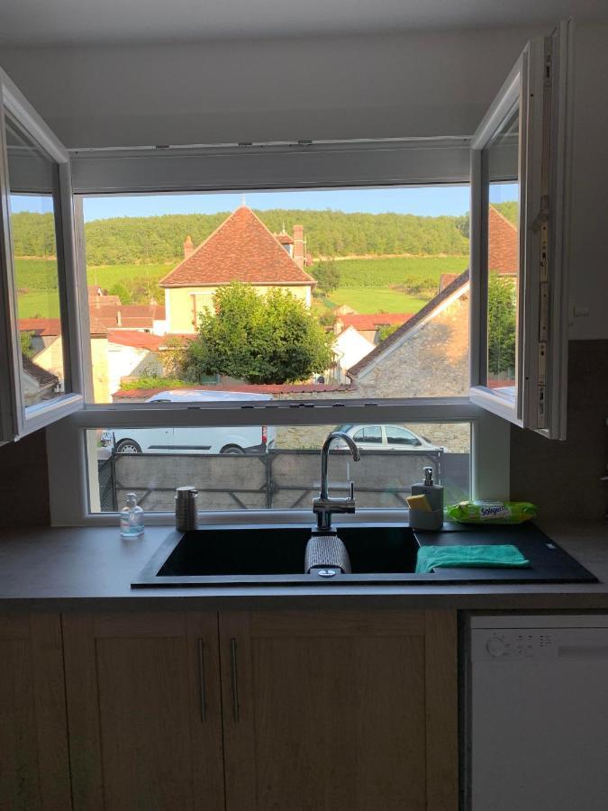 Maison De Campagne Entre Vigne Et Bois シャブリ エクステリア 写真