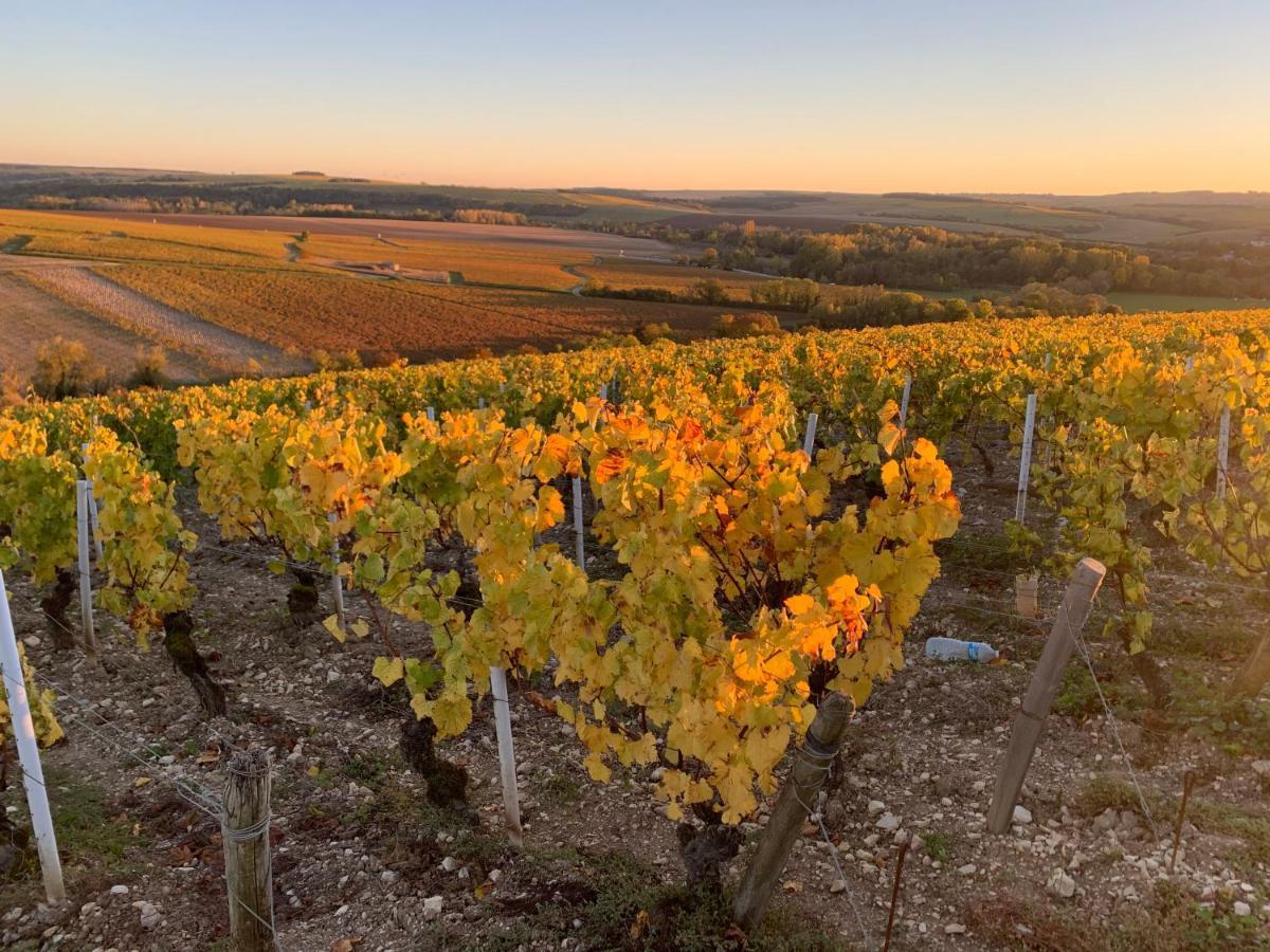 Maison De Campagne Entre Vigne Et Bois シャブリ エクステリア 写真